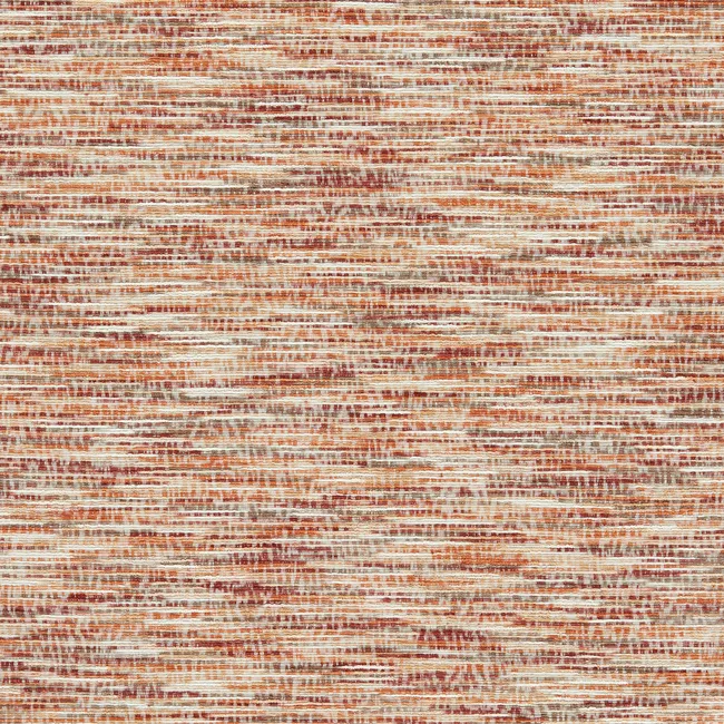 Dritto- Copper