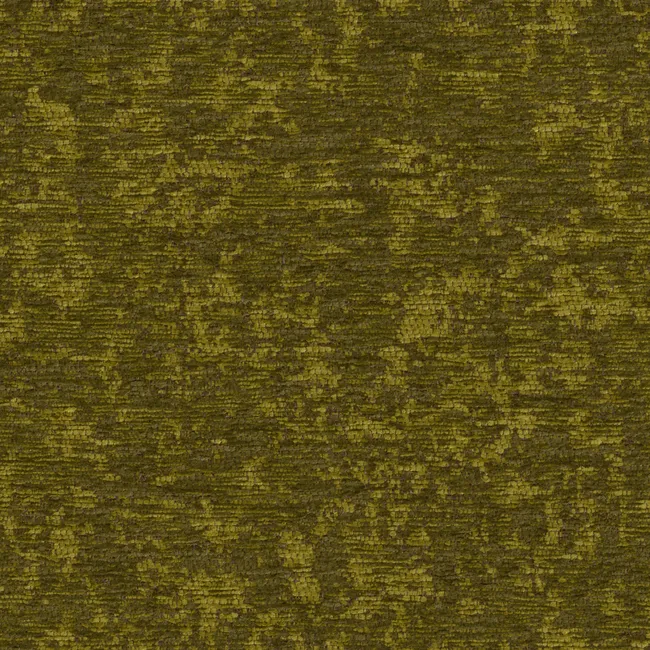 Splash- Olive